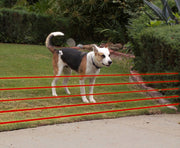 HC-8000 Electronic Dog Fence Super System